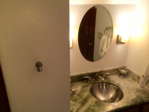 DP Guest Bathroom Walnut Creek California